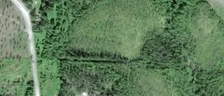 Ägarbyte för skogen på Bjurå 70 i Niemisel