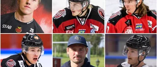 Fler namn på skadelistan när Piteå Hockey laddar för andra halvan: "Hoppas att ett par nya ansluter"