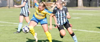 Ett enigt årsmöte sade ja till stadgeändringen hos VFF