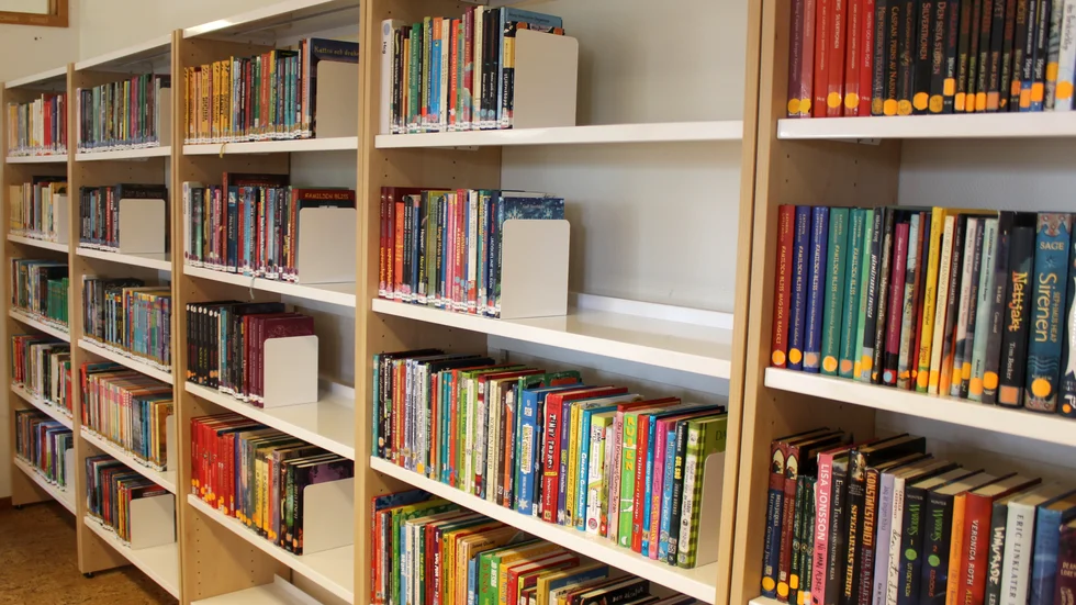 Här en bild från Viggestorpsskolans skolbibliotek. 