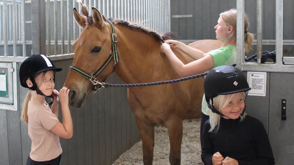 Thea Tylander och Ebba Iserstål har hjälpt till att sätta upp tofsar på Glimten. "Det var inte svårt", säger dem. Ridläraren Rebecka Krafft hjälper till med flätorna.