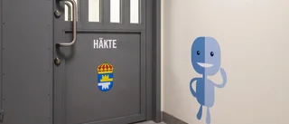 Svenska häkten är internationellt ökända