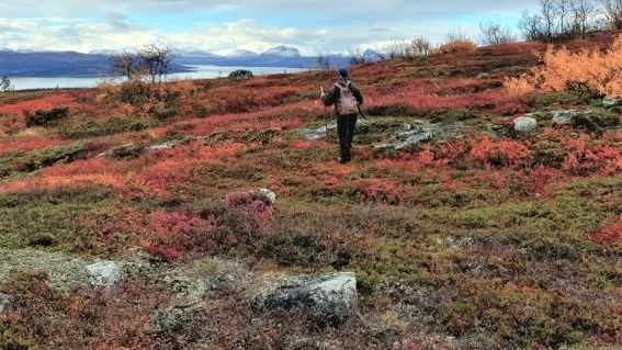 Naturaktivitet på recept ska göra Norrbotten friskare. (Arkivbild)
