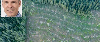 Norra skog tillbakavisar kritiken: "Vi följer alla regelverk"