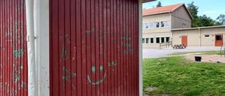 Skolor utsatta för skadegörelse