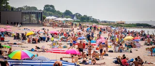 Stoppa förstörelsen av Tofta strand