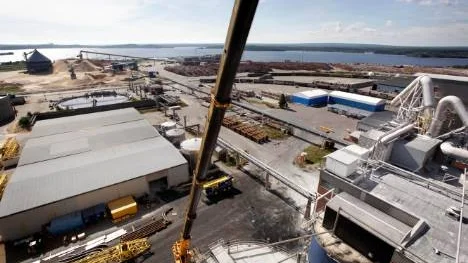 Smurfit Kappa i Piteå skjuter fram sitt driftstopp till i slutet av oktober på grund av hög köplust av kraftliner i Europa.
