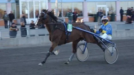 Swift Triumph - Krister Söderholm lekte hem V 5-1.