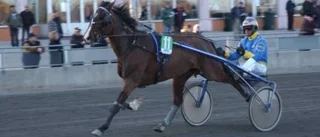 Ny triumf för Swift Triumph