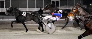 Väntad champion
