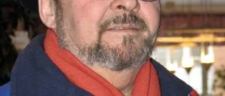 Revisor nöjd med ny styrmodell