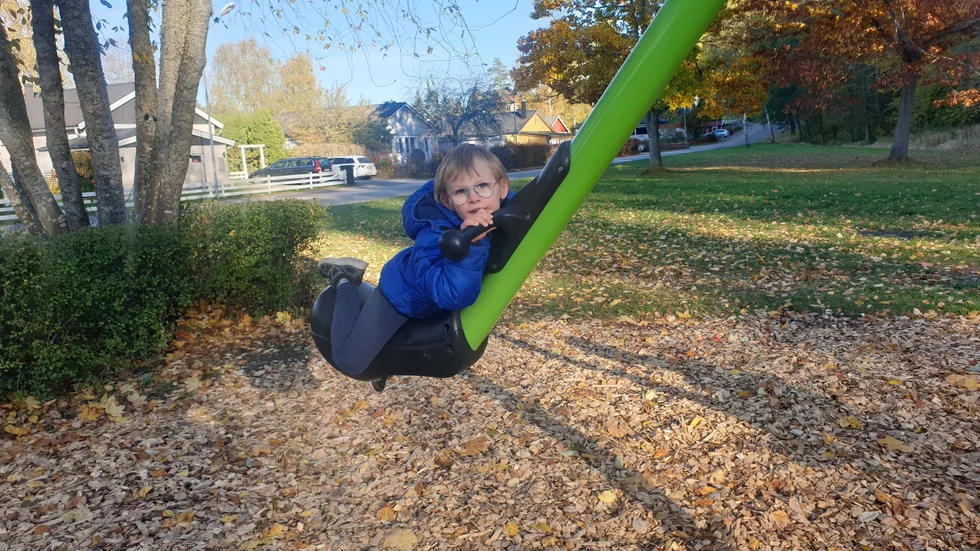 Emil, 5 år, har efter händelsen sagt att han inte är rädd för alla hundar, bara sådana som påminner om hunden i lekparken. "Jag tycker om små hundar med bruna fläckar på", säger han.