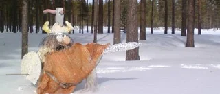 Dagens väderbild