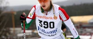 Karolinas bästa lopp