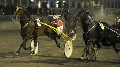 TÄTT. I V5-4 kunde inte mållinjen skilja Charlie Southwind och G.Line åt. Därmed blev det dött lopp.