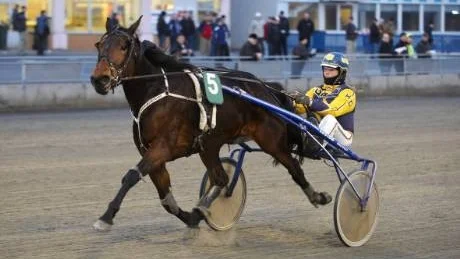 VINNARE. Hanna Olofsson och Doyouwanttodance knep en seger när Peabtravet körde sin säsongsfinal.