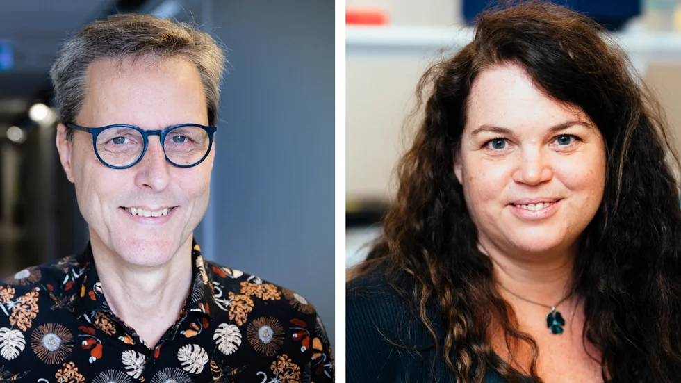 Anders Fridberg och Maria Jenmalm prisas för framstående forskning vid Medicinska fakulteten vid Linköpings universitet.