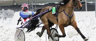 Fyra hemmasegrar i V64