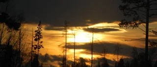Dagens väderbild
