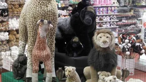 Piteås och Sveriges enda zoo för mjukdjur invigdes i helgen. Djurparken innehåller cirka 60 stora mjukdjur och flera hundra mindre.