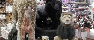 Sveriges första zoo för mjukdjur
