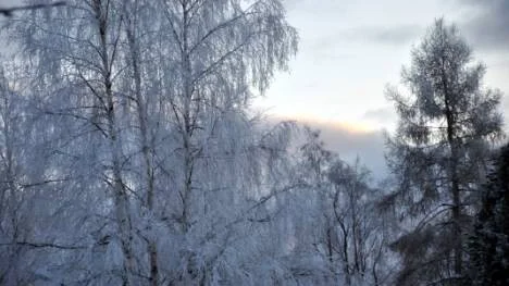 En kall morgon med åtskilliga minusgrader.