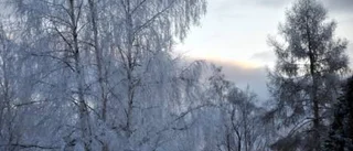 Dagens väderbild