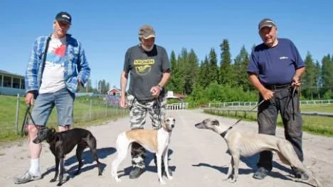 Från vänster: Åke Eriksson och Utah Kid från Södermanland. Därefter Blåsmarksbon Göran Johansson med Koruna, som han hoppas mycket på. Till höger syns Upplandsbaserade Kurt Rönnberg med den mycket meriterade Banana Split.