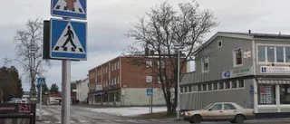 Herr Gårman och ekorrarna