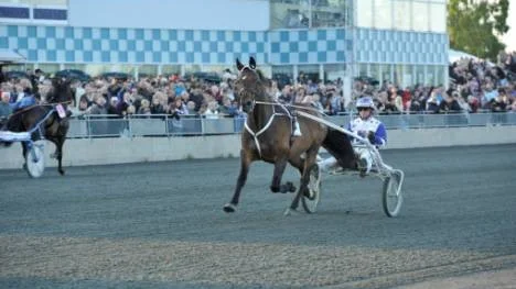 22-årige Piteåhästen Scandal Play har kryddat som ledhäst i defileringen till Norrbottens Sora Pris senaste åren. När Scandal Play vann storloppet i Bodens gulddivision 1997, Top Of Europe Trot, var förstapriset 200 000 kronor. 15 år senare blir det en miljon.