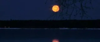 Dagens väderbild