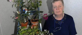Pia vill slå ett slag för pelargoner