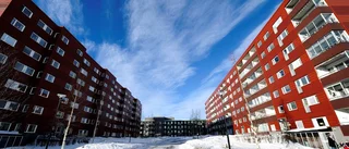 Bostadsrätter gav topplacering för Boden