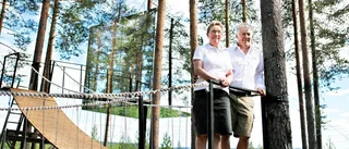 Treehotel i Harads ska säljas