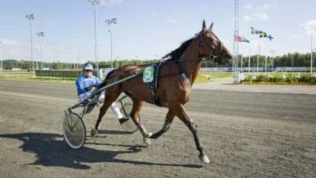 STARKAST I LÅNGA LOPPET. Mellby Strong och Jaako Alamäki såg till att V4-utdelningen fick en rejäl knuff uppåt efter att ha vunnit Trioloppet. Alamäki var hundraprocentig för dagen och vann med samtliga sina tre uppsittningar. Foto: Karl-William | Photograper