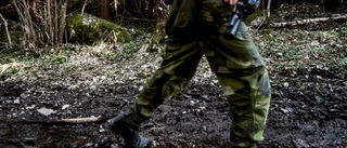 GunnarHökmark: Försvaret är inte ett särintresse