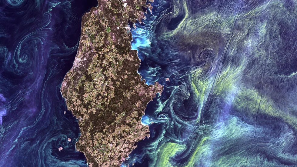 När NASA år 2012 bad allmänheten rösta fram den vackraste satellitbilden tog Gotland hem förstaplatsen. De gotländska algblomskoncentrerade havsvirvlarna runt den gotländska kusten blev som en pendang till Van Goghs målning Stjärnenatt, med dess himmel och molnliknande virvlar över en stad i skymning.