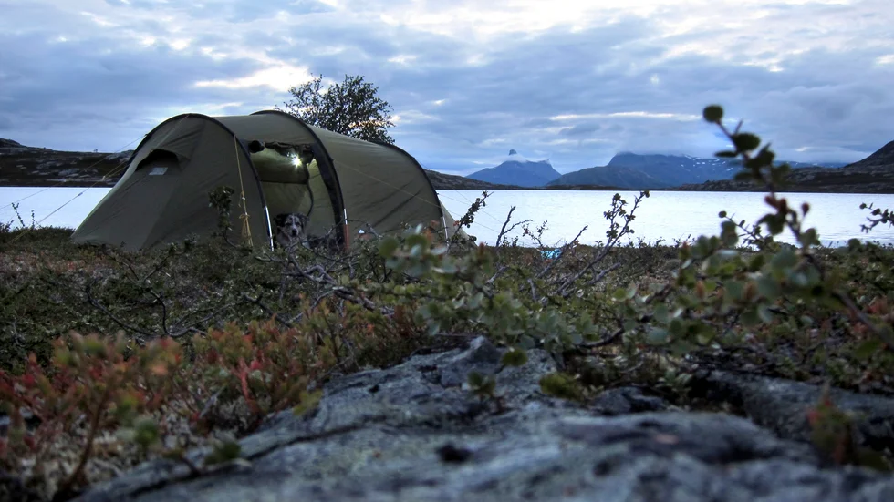 När till och med camping är dåligt kanske det är dags för ständig karantän?