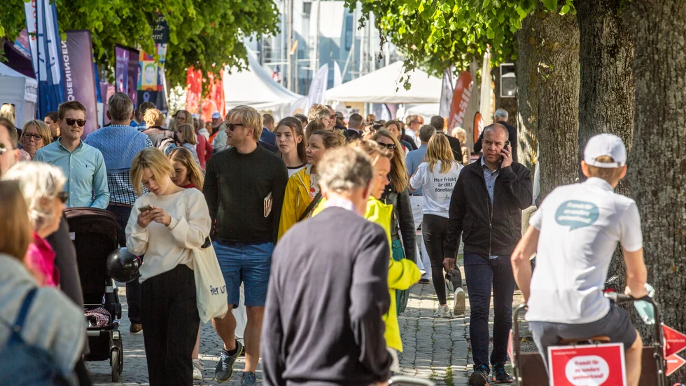 Cramérgatan 2017