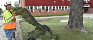 Norrhammarskolan får gräs som tål tuffa tag