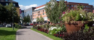 Kora finaste parken            
