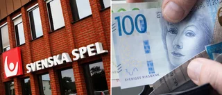 Lista: De här gotländska företagen har högst snittlön
