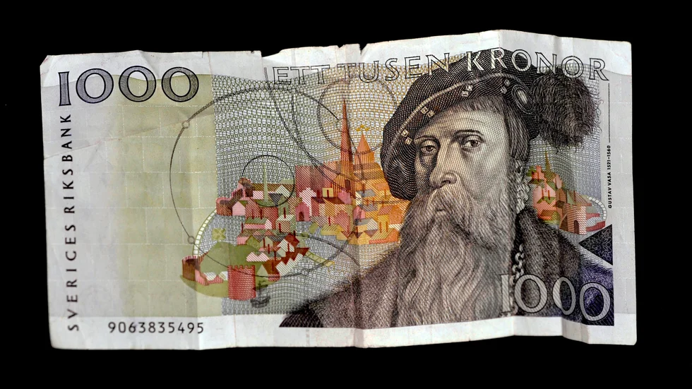 Historien skrivs av den som har ett skriftspråk. Gustav Vasas bokföring är en källa - men i naturen kan man också se historiens spår
