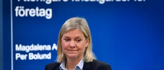 Det krävs skyddsvallar mot en vänstervåg