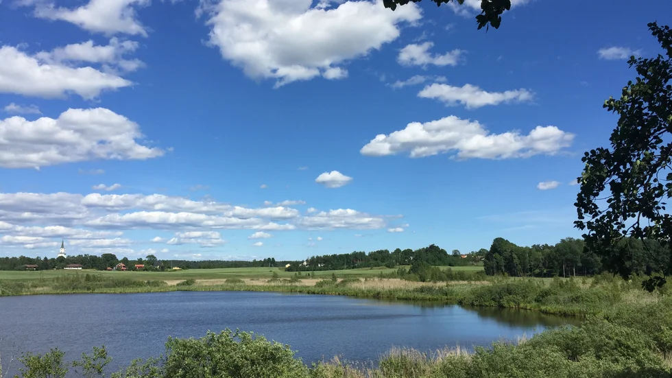 Tack vare LONA -bidrag kan Ölstadsjöns naturreservat restaureras.