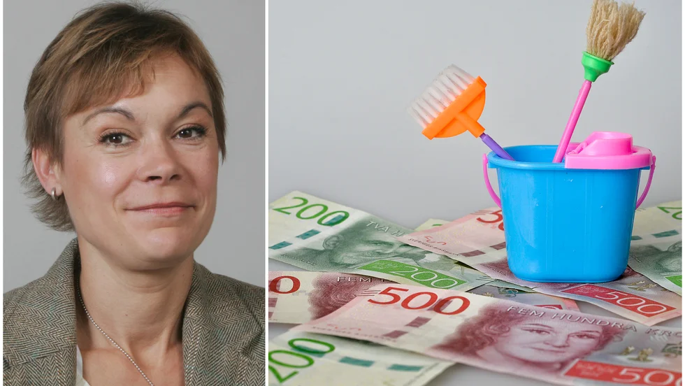 TCO vill behålla Rut och föreslår att det införs ett tak för skattereduktionen per arbetstimme på 250 kronor, skriver Karin Pilsäter.