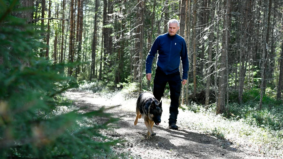 Hundföraren Kalle Alatalo och hunden Ixtra fortsätter sökinsatsen norr om Skellefteå.
