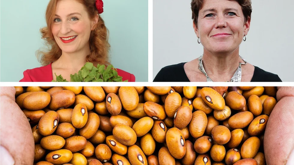 Den 10 februari är det Baljväxtens dag, instiftad av FN. Kocken Sigrid Bárány och Anna Tibblin, generalsekreterare på We Effect lyfter vinsten med att äta mer bönor i den här debattartikeln.