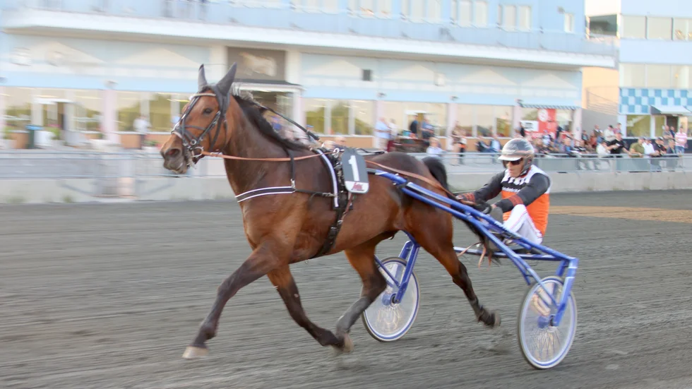 Amatörtränade Rally Funny imponerade i sin senaste start. Nu ska hon tillsammans med Ove A Lindqvist i sulkyn försöka vinna över en av jackpottomgångens största favoriter, Van Gogh Z.S.
