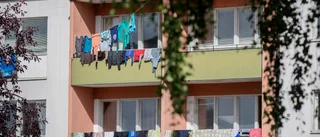 Lätt att känna empati för bärplockarna       
